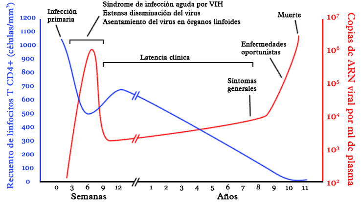 Hiv-timecourse-es